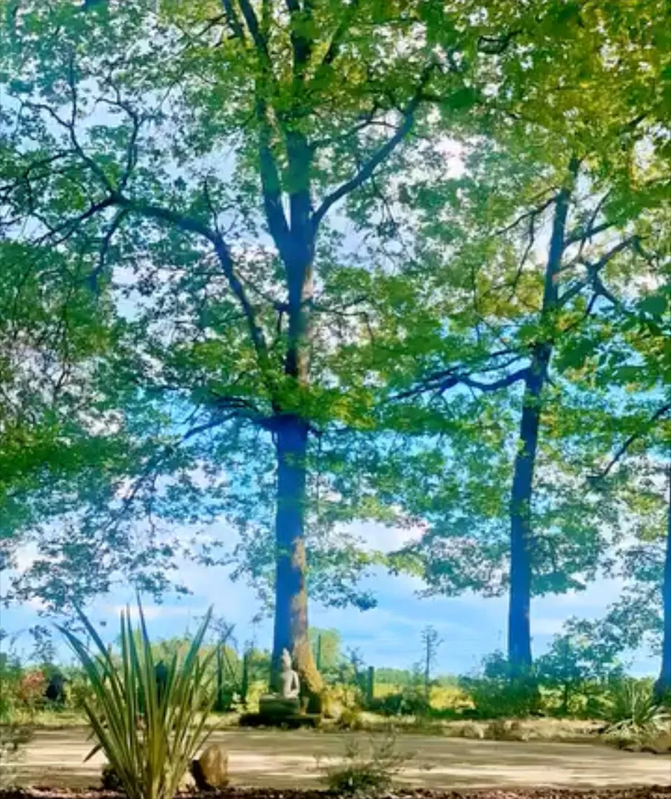 Le parc arboré du domaine de Sallebœuf et sa statue de méditation.